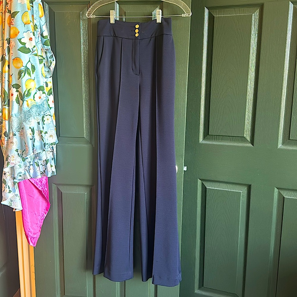Express flare pants